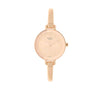 Titan Raga Viva Quartz Analog Rose Gold Round Dial Rose Gold Metal Strap Watch For Women