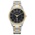 Titan Black Dial Two Toned Strap Analog with Day-Date Watch for Men