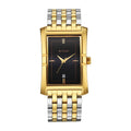 Titan Black Shaped Dial Two Toned Stainless Steel Strap Analog Watch for Men