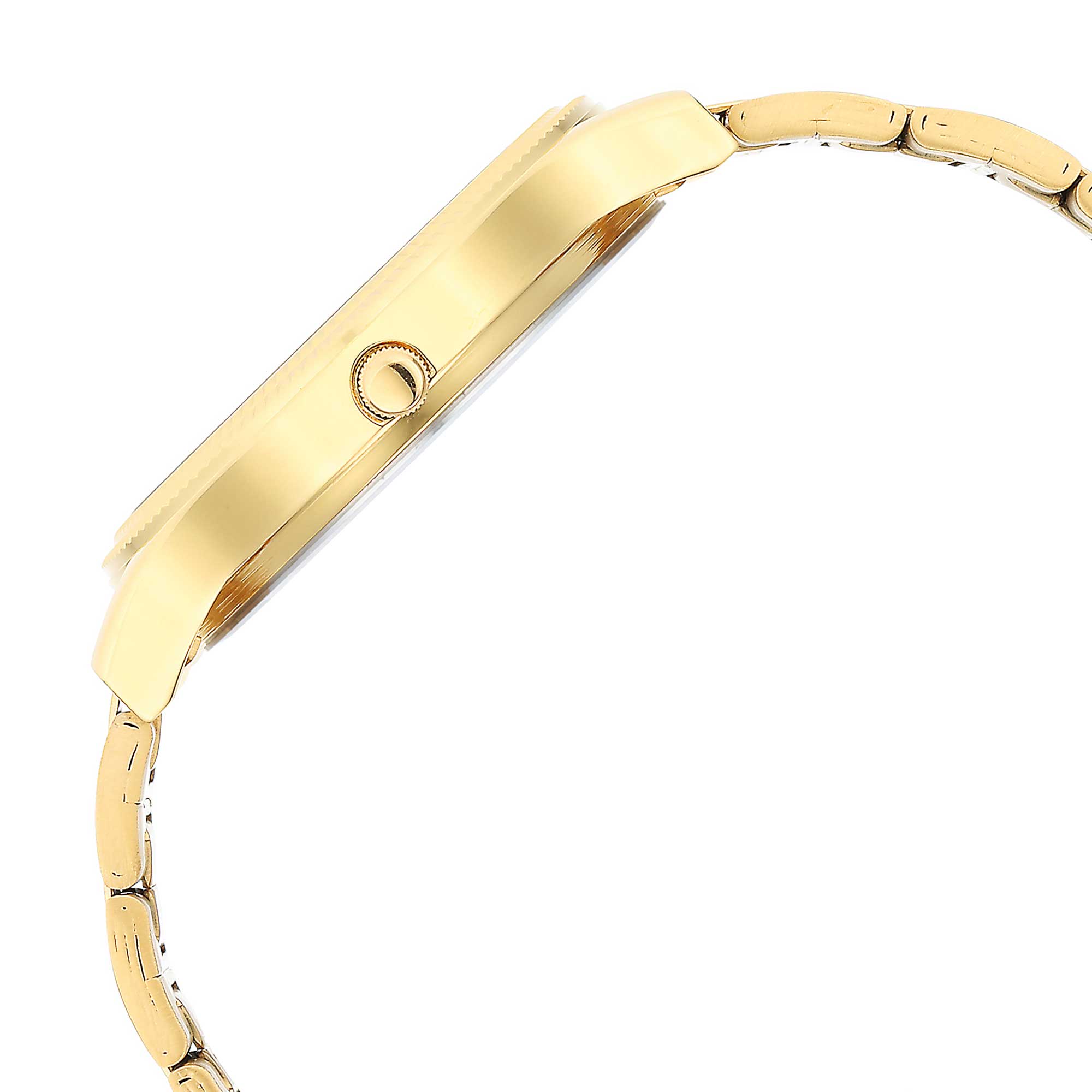 Titan Karishma Green Dial Gold Stainless Steel Strap Analog with Day-Date Watch for Men