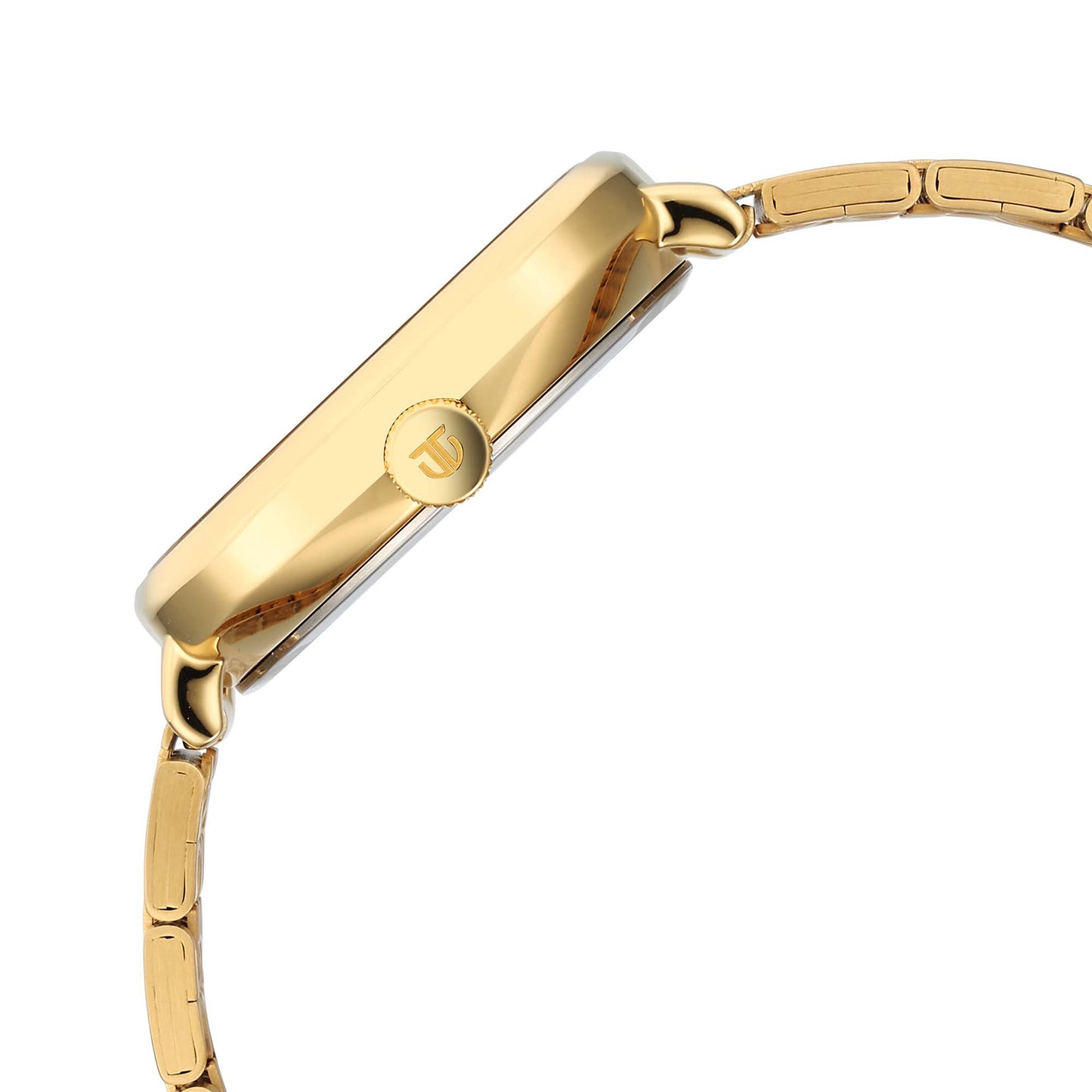 Titan Workwear Green Special Dial Golden Stainless Steel Analog Watch for Men