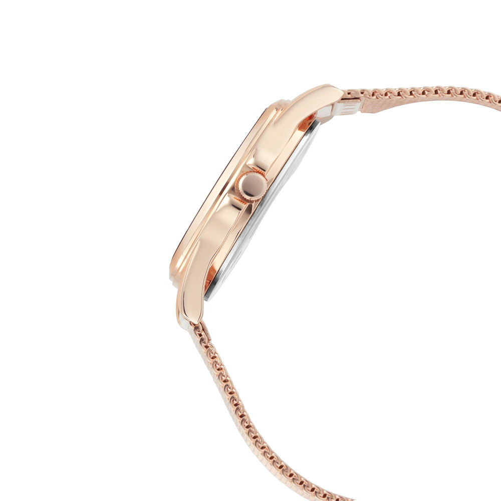 Titan Pink Dial Mesh Stainless Steel Strap Analog Watch for Women