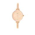 Titan Raga Viva Quartz Analog Rose Gold Round Dial Rose Gold Metal Strap Watch For Women
