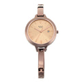 Titan Raga Rose Gold Dial Brown Metal Strap Analog with Date Watch for Women