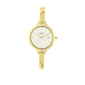 Titan Raga Viva Champagne Dial Gold Metal Strap Analog with Date Watch for Women