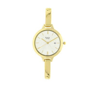 Titan Raga Viva Champagne Dial Gold Metal Strap Analog with Date Watch for Women