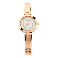 Titan Quartz Analog Silver Dial Metal Strap Watch for Women