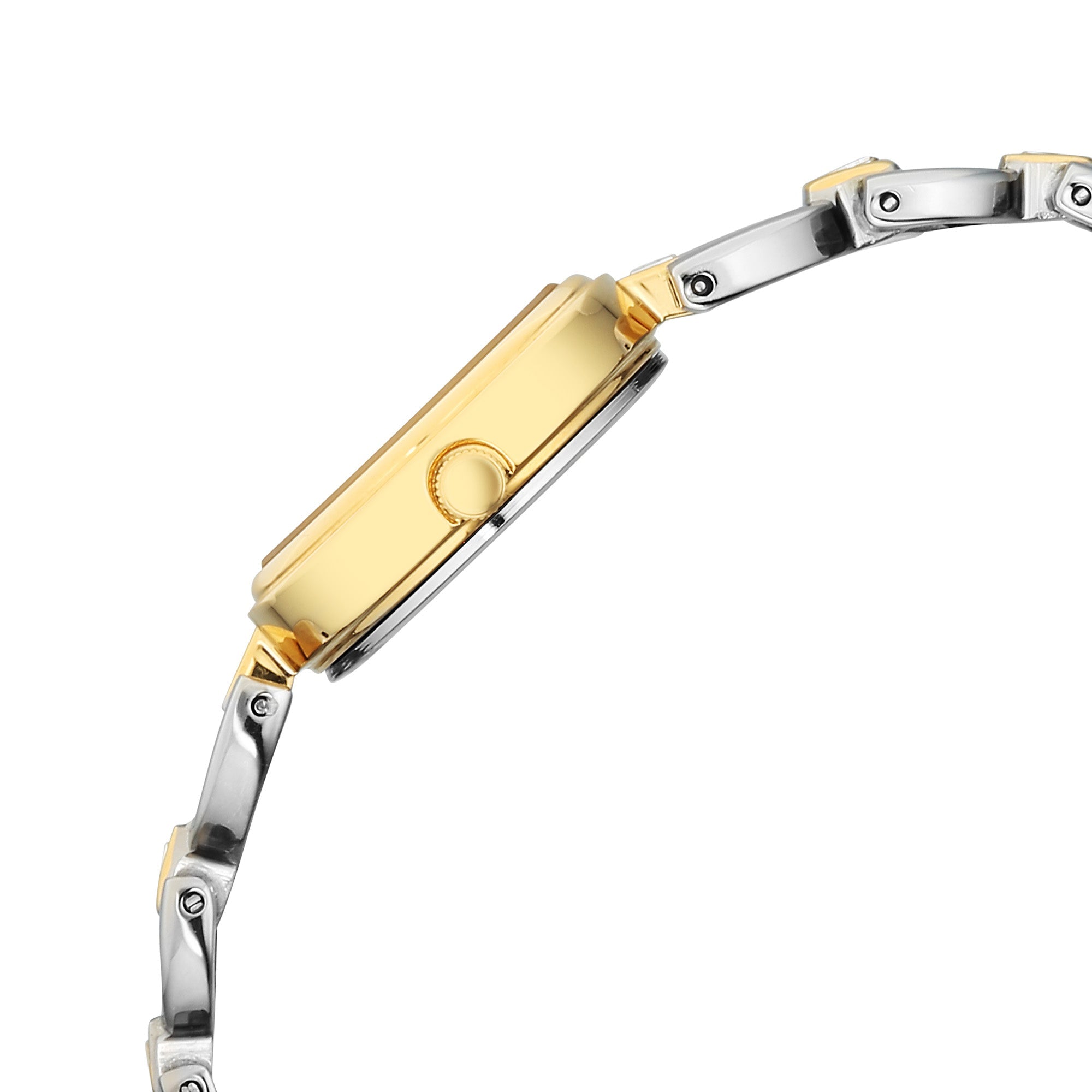 Titan Silver Dial Dual Tone Metal Strap Analog Watch for Women