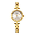 Titan Silver Dial Gold Metal Strap Analog Watch for Women