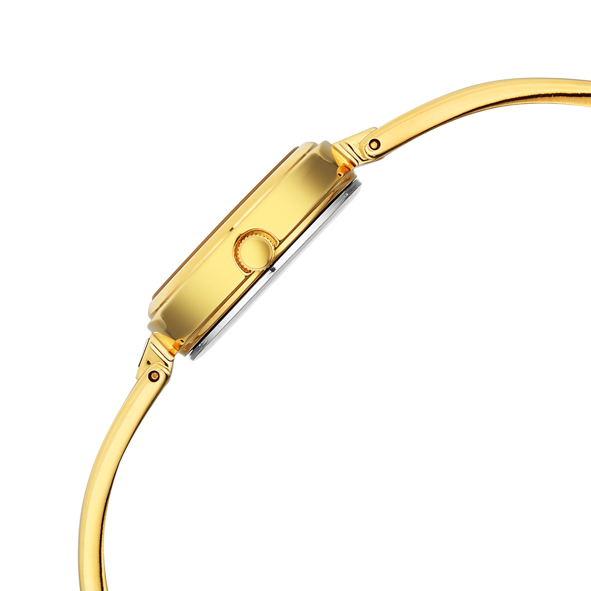 Titan Silver Dial Gold Metal Strap Analog Watch for Women