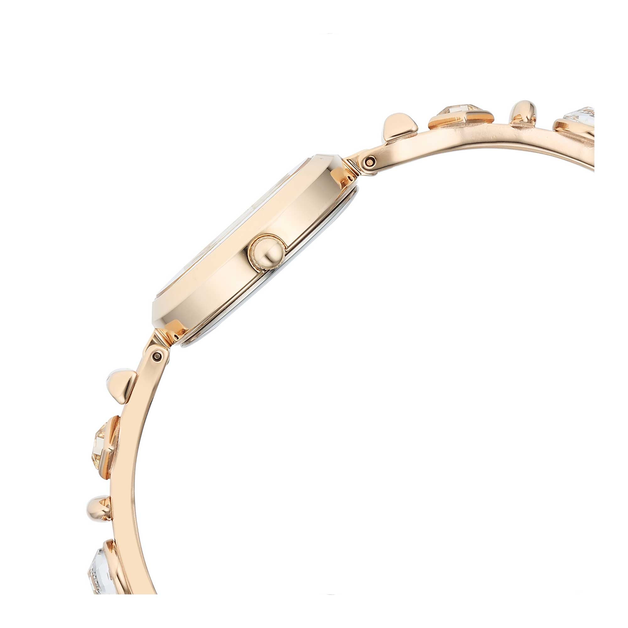Titan Raga Viva Champagne Dial Gold Metal Strap Analog Watch for Women