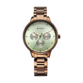 Titan Green Dial Brown Stainless Steel Strap Analog with Day and Date Watch for Women