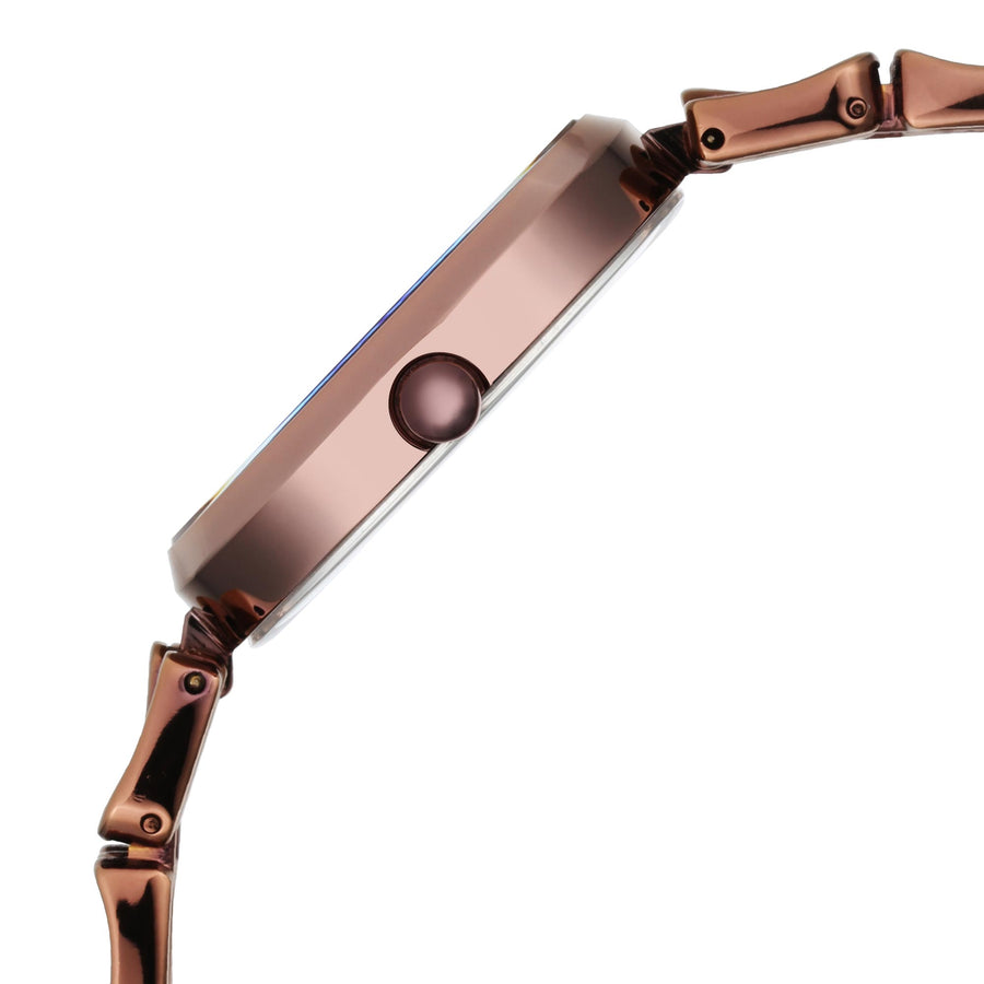 Titan Raga Mother of Pearl Dial Brown Metal Strap Analog Watch for Women