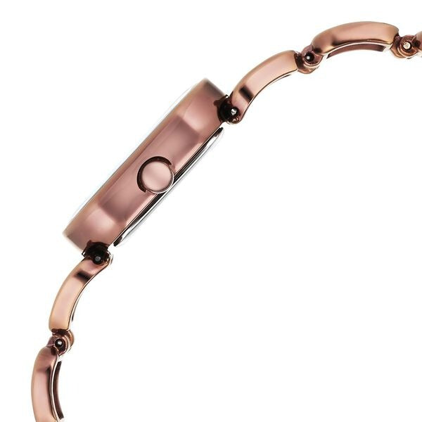 Titan Raga Ascend Quartz Analog Brown Dial With Brown Color Metal Strap Watch For Women