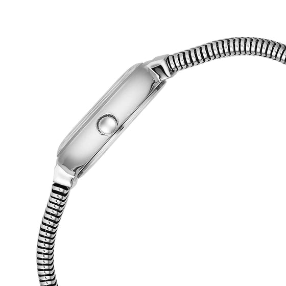 Titan Raga Viva Glam Stainless Steel Silver Round