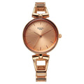 Titan Raga Rose Gold Dial Metal Strap Analog Watch for Women
