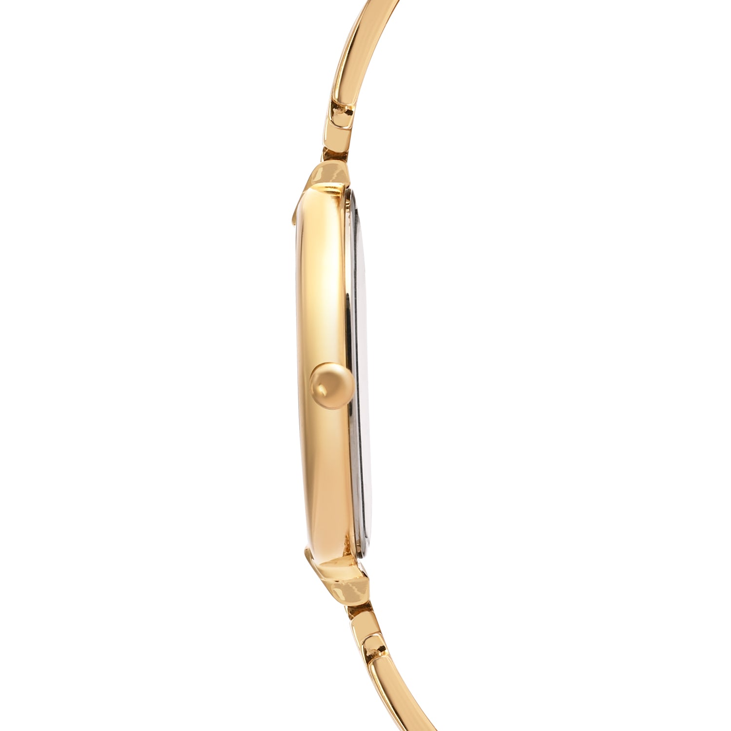 Titan Nebula 18K Gold Dial with Diamond Studded Indices Analog Watch for Women