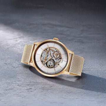 Titan Silver Dial Gold Stainless Steel Strap Skeletal Automatic Watch for Men