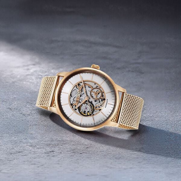 Titan Silver Dial Gold Stainless Steel Strap Skeletal Automatic Watch for Men