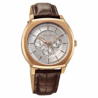 Titan Regalia Arc Analog with Day Date Second Subdial and Silver Dial Brown Leather Strap Watch for Men