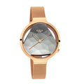 Titan Raga Silver Dial Rose Gold Metal Strap Analog Watch for Women