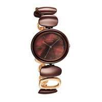 Titan Raga Brown Dial Metal Strap Analog Watch for Women