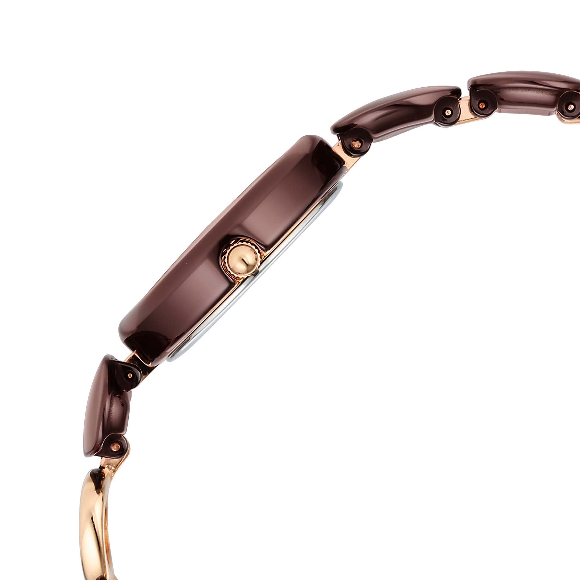Titan Raga Brown Dial Metal Strap Analog Watch for Women