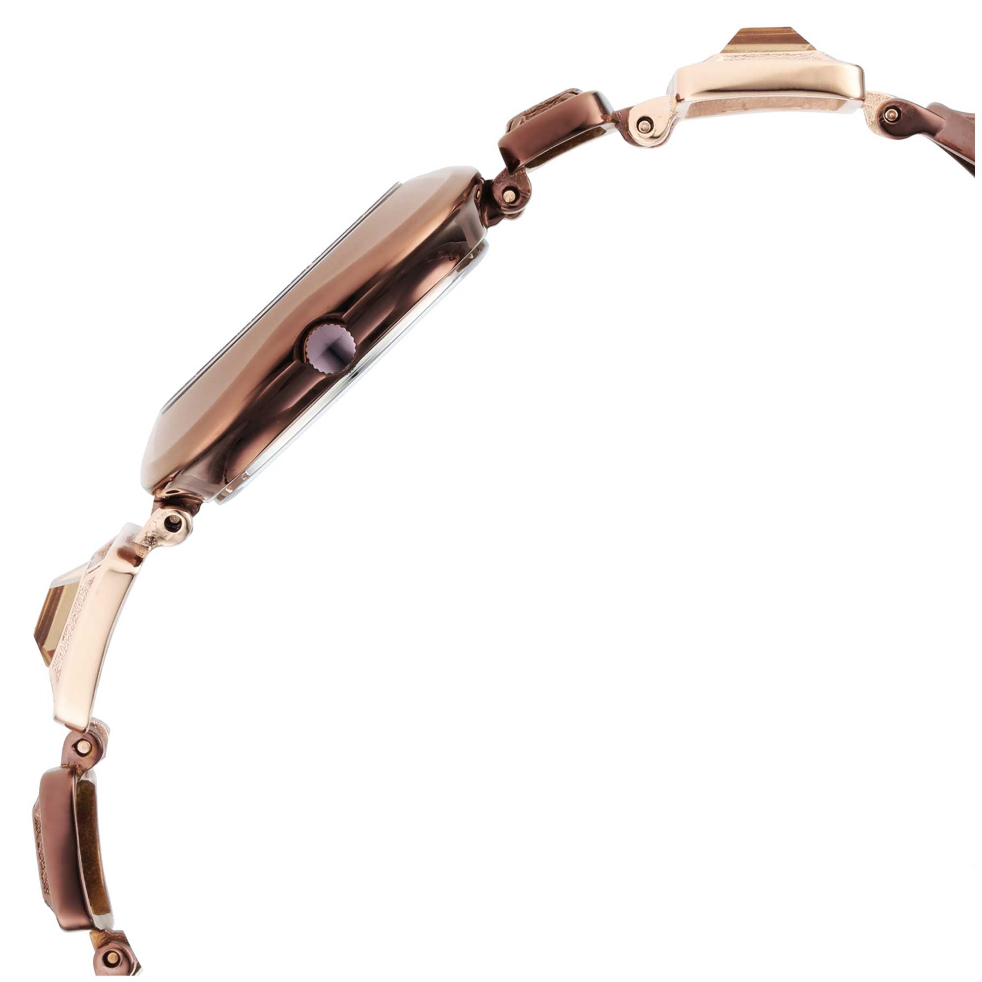 Titan Raga Brown Special Dial Metal Strap Analog Watch for Women