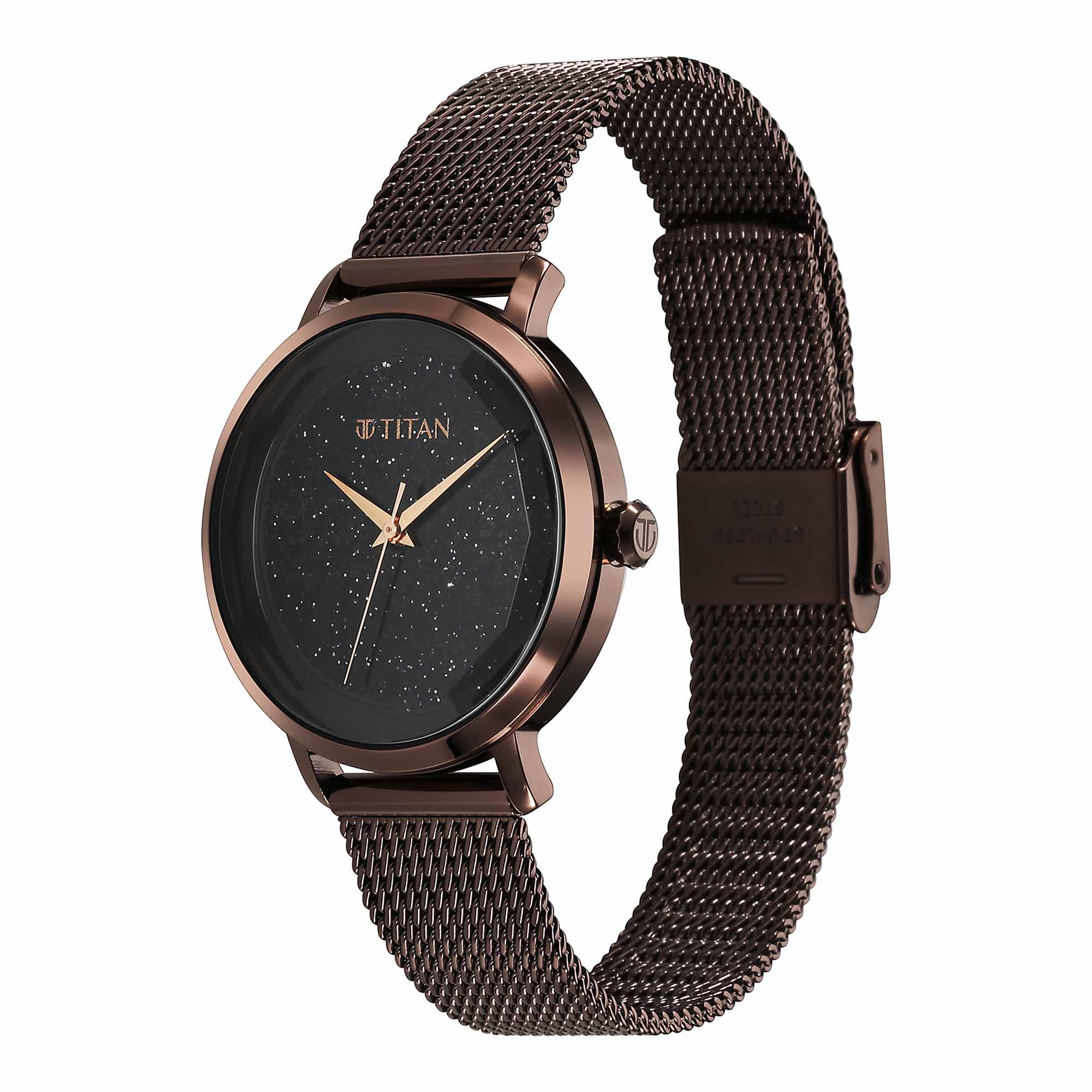 Titan Workwear Black Dial Brown Stainless Steel Strap Analog Watch for Women