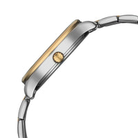 Titan Green Dial Two Toned Stainless Steel Strap Analog with Date Watch For Women