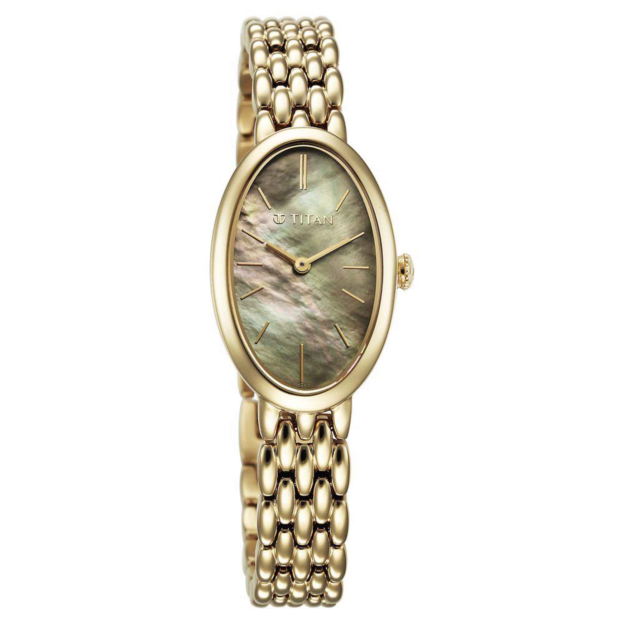 Titan Mother Of Pearl Oval Dial Gold Stainless Steel Strap Analog Watch for Women