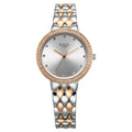 Titan Raga Showstopper Silver Dial Two Toned Metal Strap Analog Watch for Women