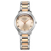 Titan Horizon Quartz Analog Rose gold Dial Stainless Steel Strap Watch For Women