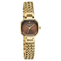 Titan Raga Brown Special Dial Gold Metal Strap Analog Watch for Women