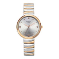 Titan Raga Silver Dial Two Toned Metal Strap Analog Watch for Women