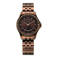 Titan Brown Dial Metal Strap Analog Watch for Women