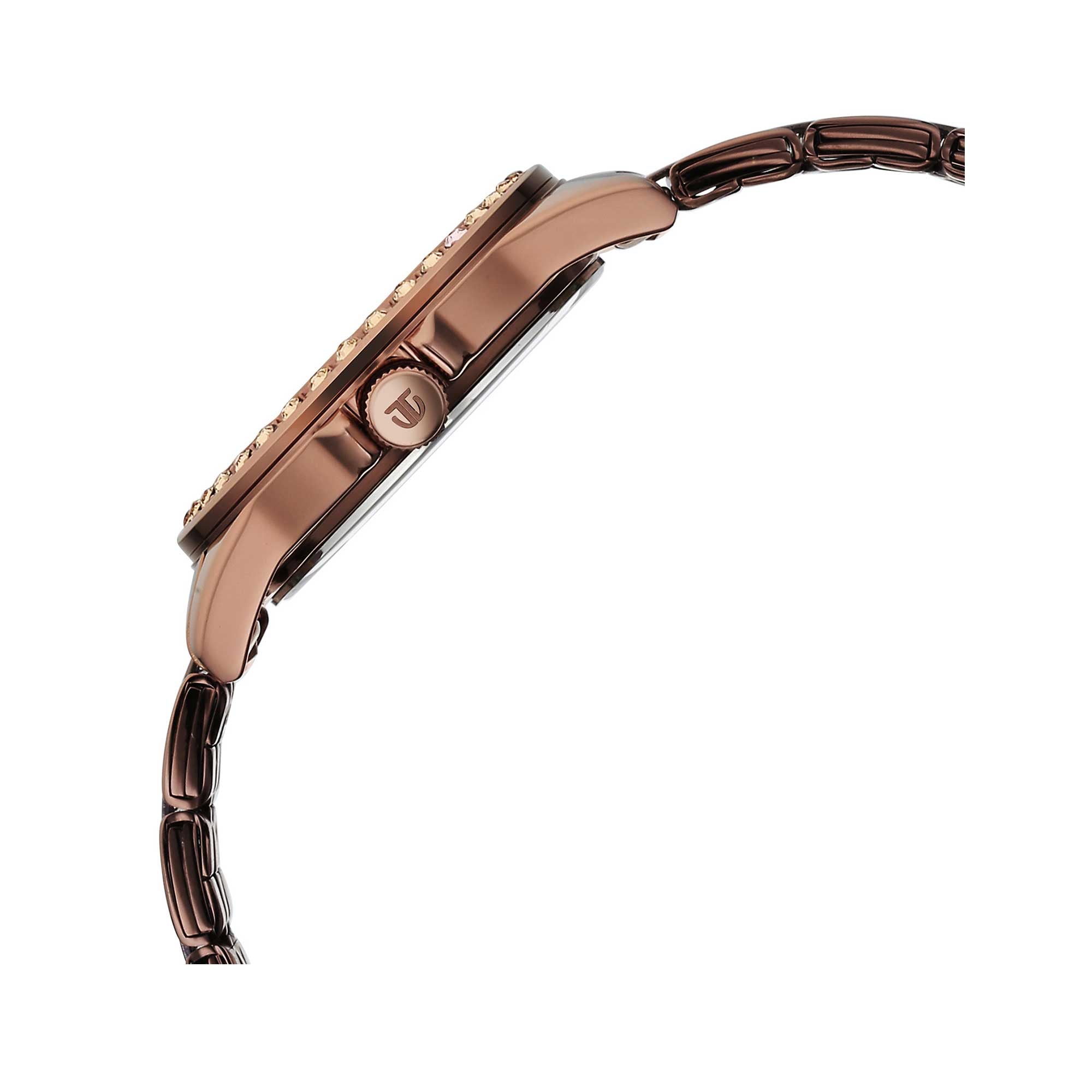 Titan Brown Dial Metal Strap Analog Watch for Women