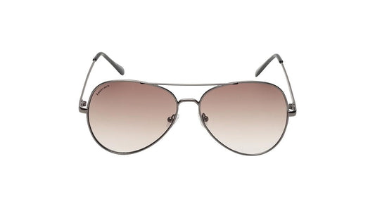 Brown Pilot Rimmed Sunglasses (M258BR5V)